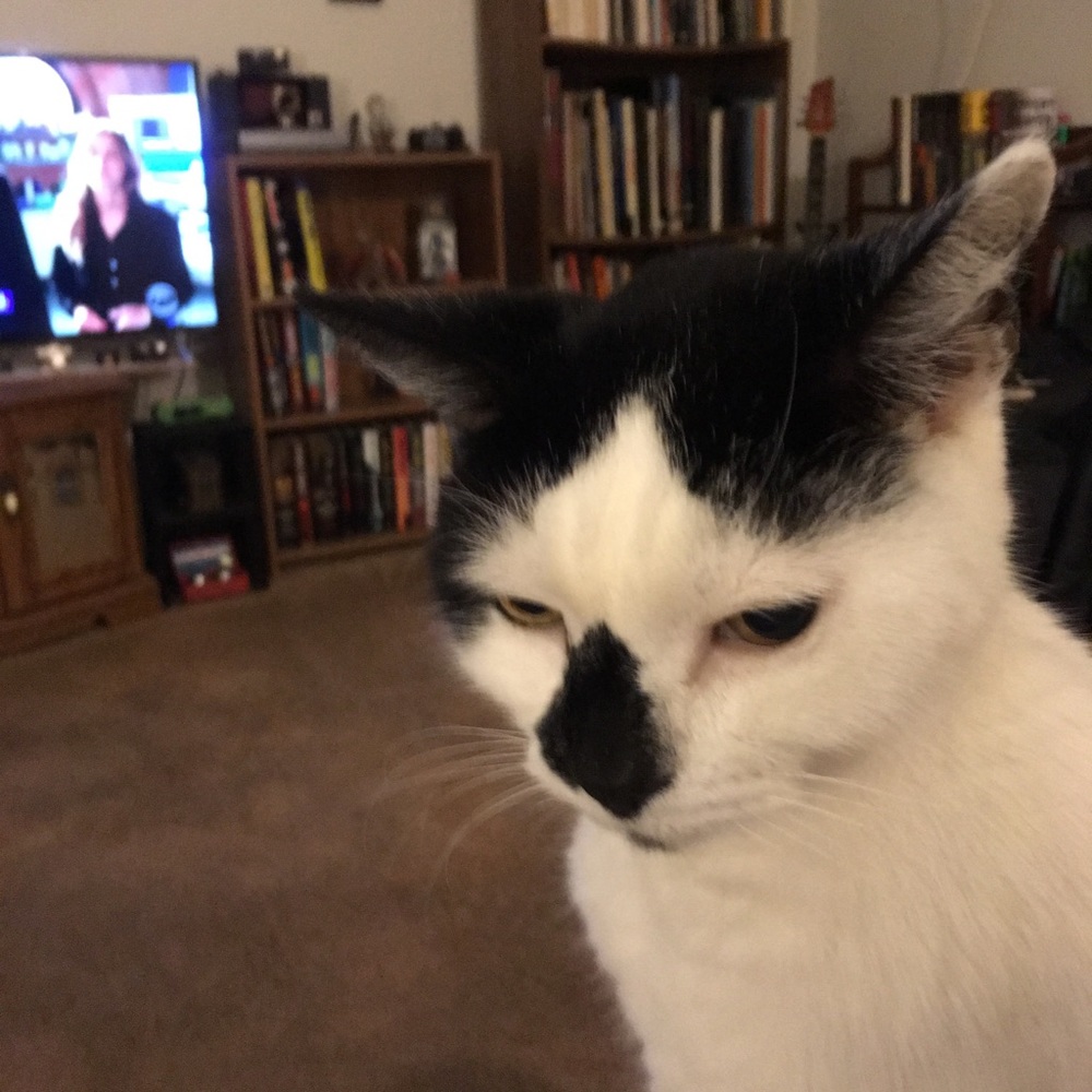 Meet your Posher, James